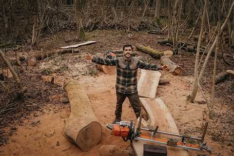 Winter Off Grid Project: The Giant Ash Tree | Woodland Management