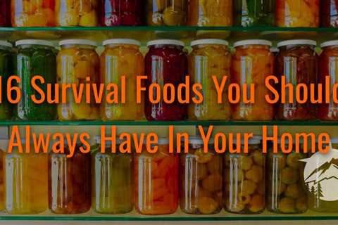 16 Survival Foods You Should Always Have In Your Home