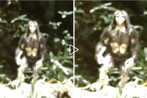 This Ranger Can't Explain This Chilling Sound That Was Caught On His Trail Camera Inside These Woods
