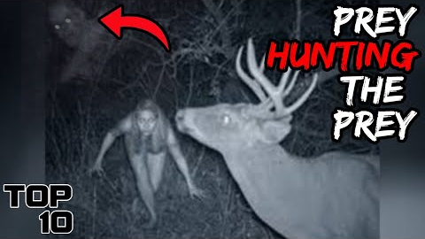 Top 10 Dark Trail Camera Pictures No One Was Supposed To See