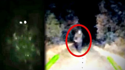 13 Scary Bigfoot Videos That Are Unexplained