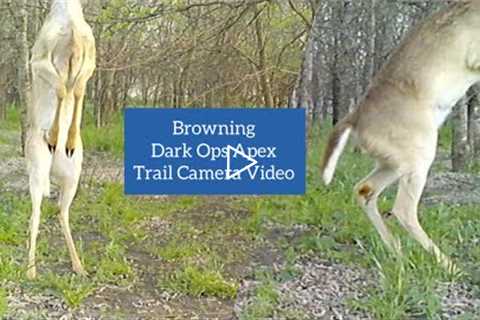 New Trail Camera Site: Browning Dark Ops Apex Video March 27-31, 2022