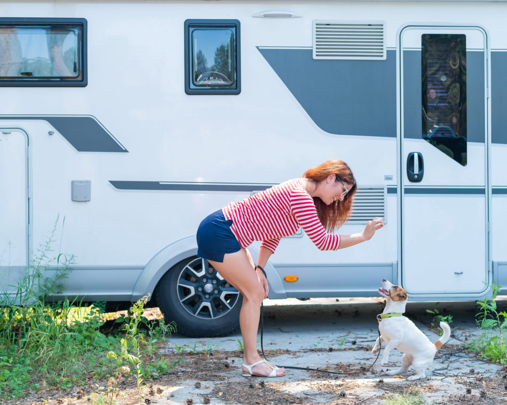 Tips for RVing With Dogs