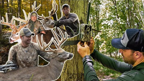 How Often Should You Check Summer Trail Cameras? We Asked The Pros!