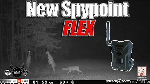 What is the new Spypoint Flex Trail Cam and Will it Help You Shoot Bigger Deer?