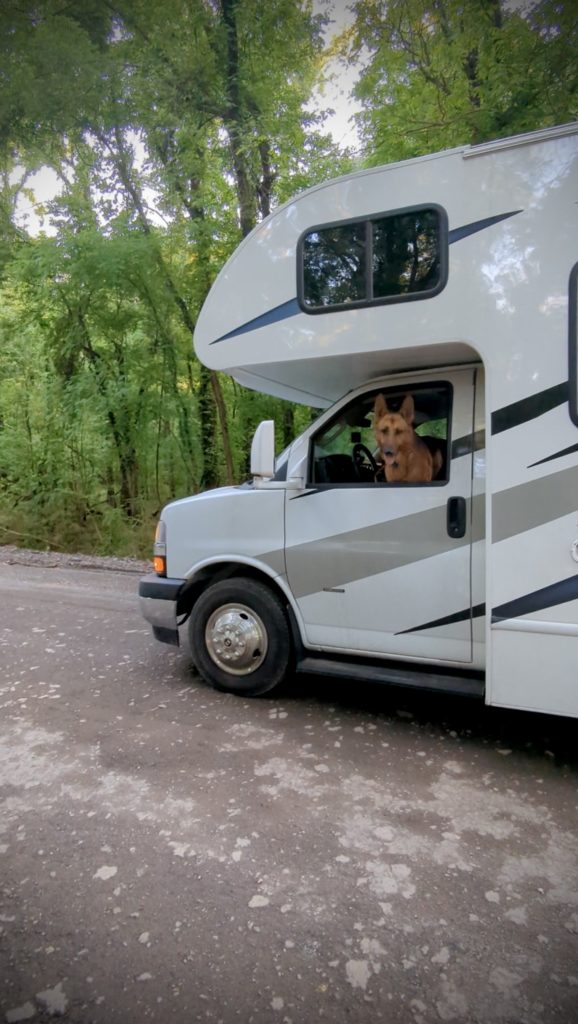 6 Summer Must-Have RV Accessories for Traveling with Pets