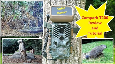 CamPark T200 Solar 4K WiFi Trail Camera Review and Tutorial
