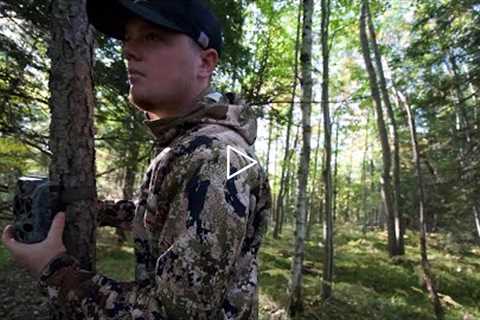 How To Hang Trail Cameras | Tips and Vlog