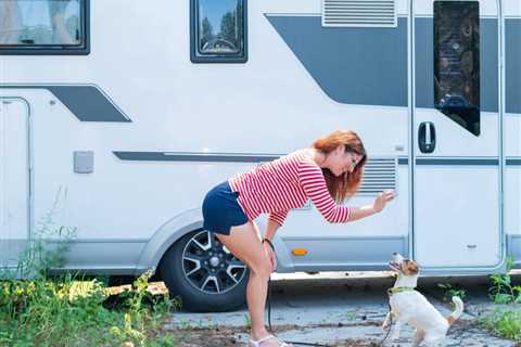 Tips for RVing With Dogs