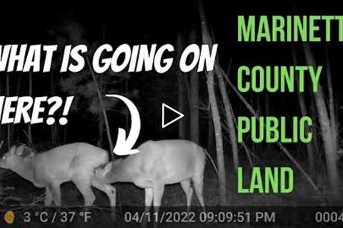 April 10th - 30th Marinette County All Public Land Trail Cam Videos