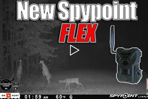 What is the new Spypoint Flex Trail Cam and Will it Help You Shoot Bigger Deer?