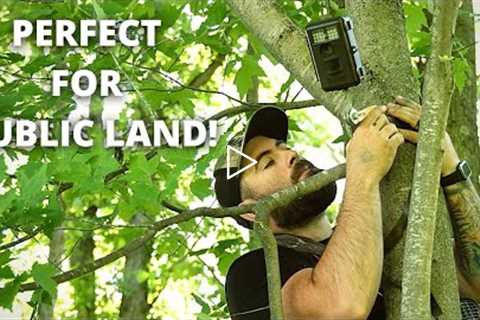 The Perfect DIY Trail Camera Mount!