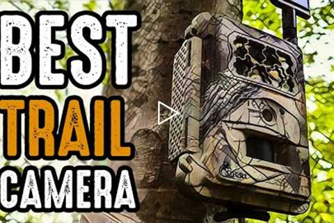 5 Best Trail Camera for Wildlife Monitoring