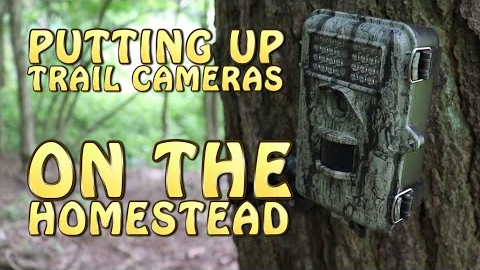 Putting Up A Couple Trail Cameras At The Homestead