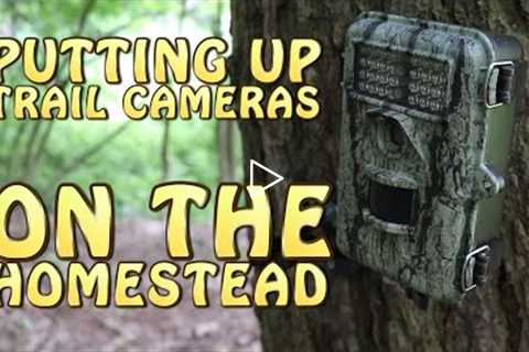 Putting Up A Couple Trail Cameras At The Homestead