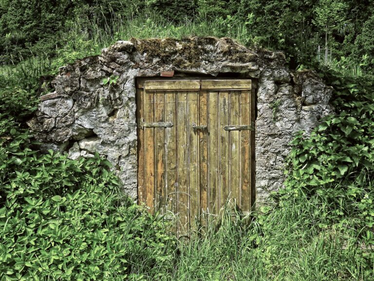 What Can You Store in a Root Cellar?