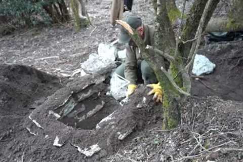 6 Shelters building from start to finish. bushcraft skills. survival skills