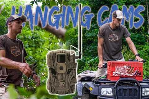 Hanging Summer Trail Cameras | How to find deer on your property!
