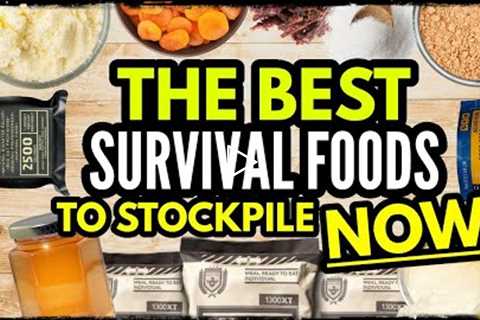 10 Best Survival Foods to Stockpile for Disaster