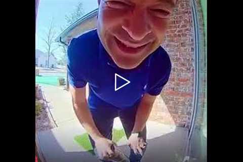 Doorbell Dad Jokes This dad shares some hilariously bad dad jokes with his neighbour doorbell camera