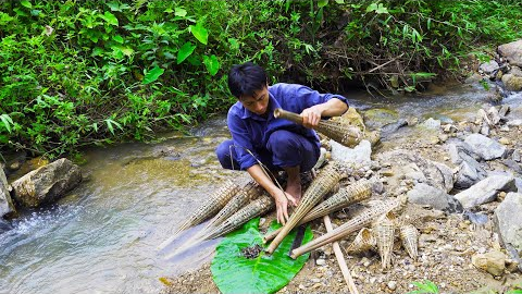Survival Skills In The Rainforest, Bushcraft Survival, Primitive skills - #14