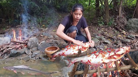 Survival in forest: Catch and cook big fish for food - Big fish grilled spicy chili for dinner