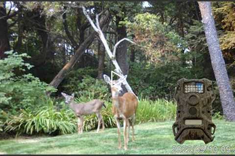 Setting Up A Terra Extreme Trail Camera