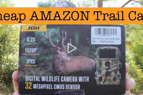 CHEAP Amazon Deer Camera || JOH Trail Camera Review