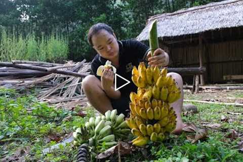 Enjoy delicious ripe BANANA, harvest the corn. Primitive Skills (ep185)