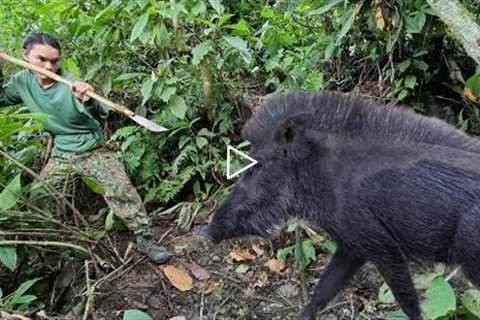 Wild boar trap skill, survival alone, survival instinct