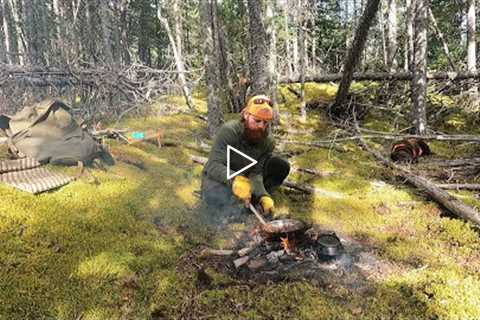 Checking Trail Cameras in Preparation for the Fall Hunt! | Campfire Cooking!