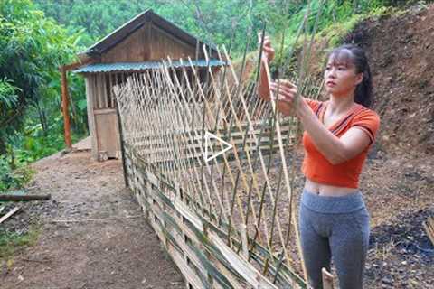 Complete Vegetable Garden, Woven Bamboo Fence, Planting Vegetable Seeds | Free Bushcraft, Ep96