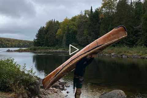 First Moose Hunt with Camera instead of a Gun | BUSHCRAFT | BIRCH BARK CANOE | ALGONQUIN PARK