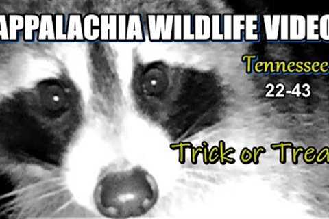 Appalachia Wildlife Video 22-43 from Trail Cameras in the Tennessee Foothills of the Smoky Mountains