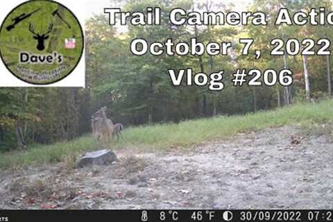 Trail Camera Action -  October 7, 2022 - Vlog #206