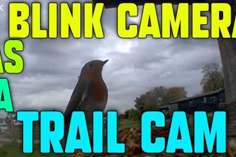 Blink Camera as a Trail Camera