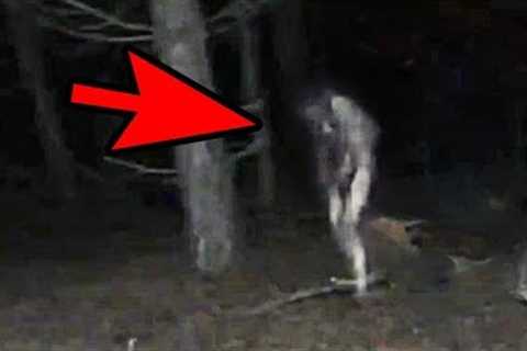 5 Mysterious Creatures Caught On Camera : Top 5 STRANGE Creatures