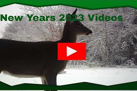 New Year 2023 Game Camera Videos