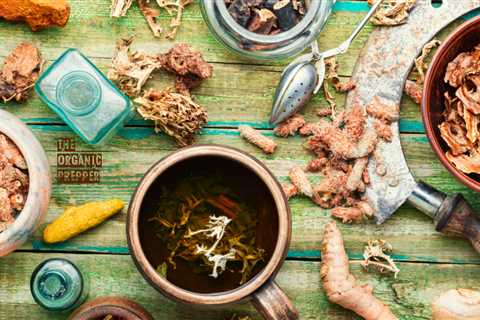 Herbs for Pain Management: A Prepper’s Herbal Medicine Cabinet