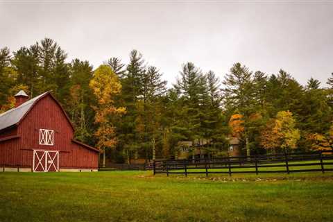 The Ultimate Guide to Augason Farms Dehydrated Food: Quality, Safety, and Cost-Effectiveness