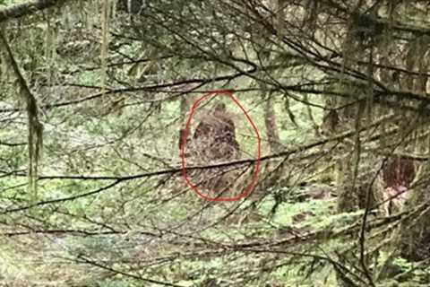 Trailcam Captures Strange Hominid Figure in Washington