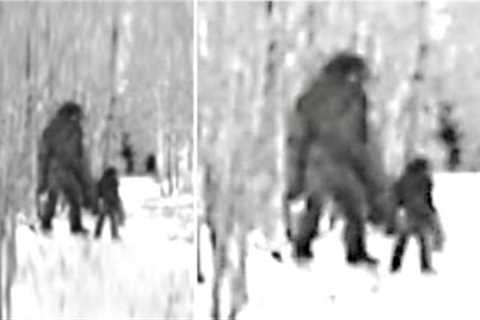 This Rancher Noticed This On His Trail Camera Deep In The Woods But Can''t Explain What It Captured