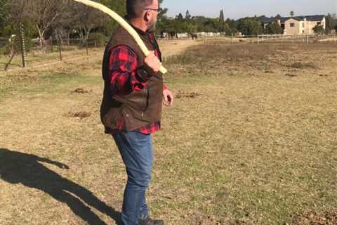 How To Make a Primitive Throwing Stick (Step-by-Step Photos)