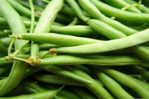 So, Can You Eat Raw Green Beans for Survival?