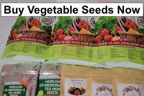 Buy Vegetable Seeds While You Still Can