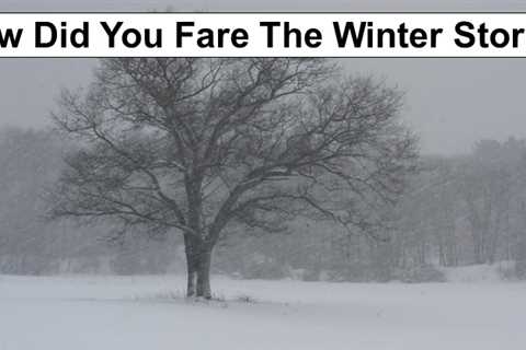 How Did You Fare The Winter Storm?