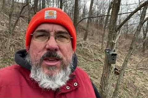 Checking my trail cameras on 3/11/2023