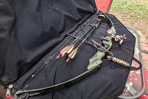 Bows Vs Crossbows – the Pros and Cons of Each