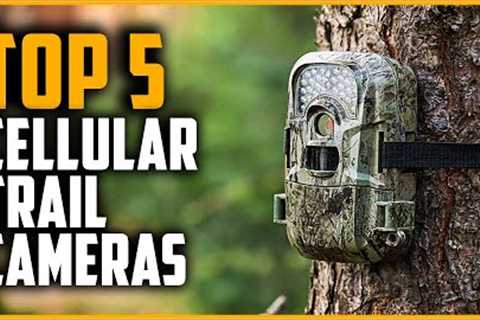 Best Cellular Trail Cameras 2022 | Top 5 Best Cellular Trail Camera Reviews