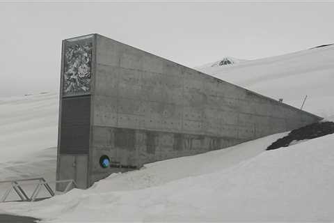 Preserving Our Future: The Impressive Seed Vault in Norway